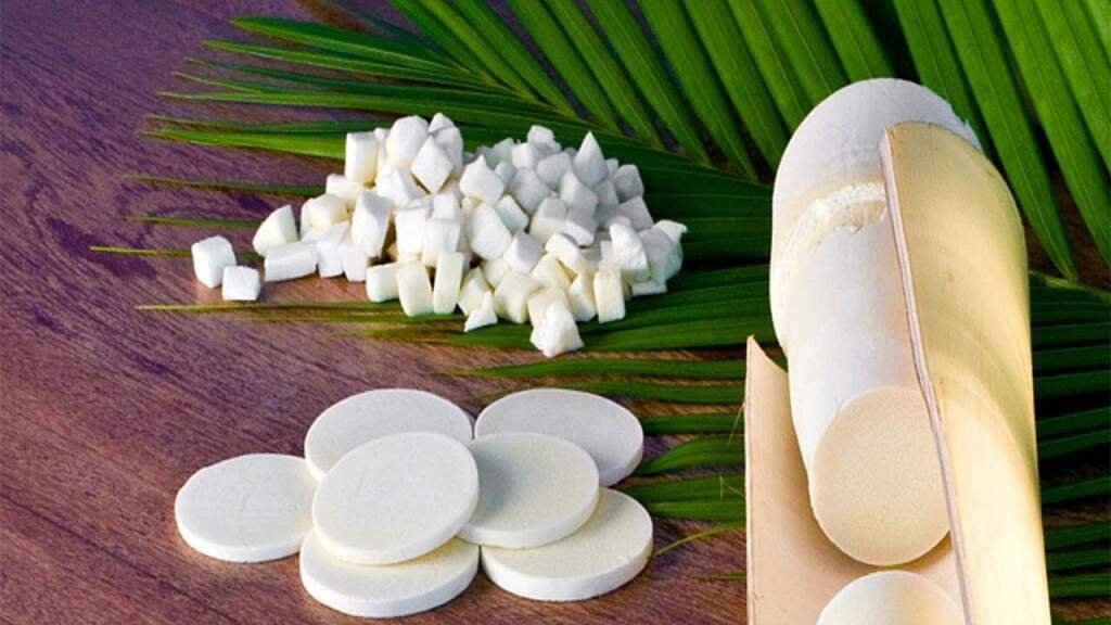 Palmito de Guariroba - Gueiroba